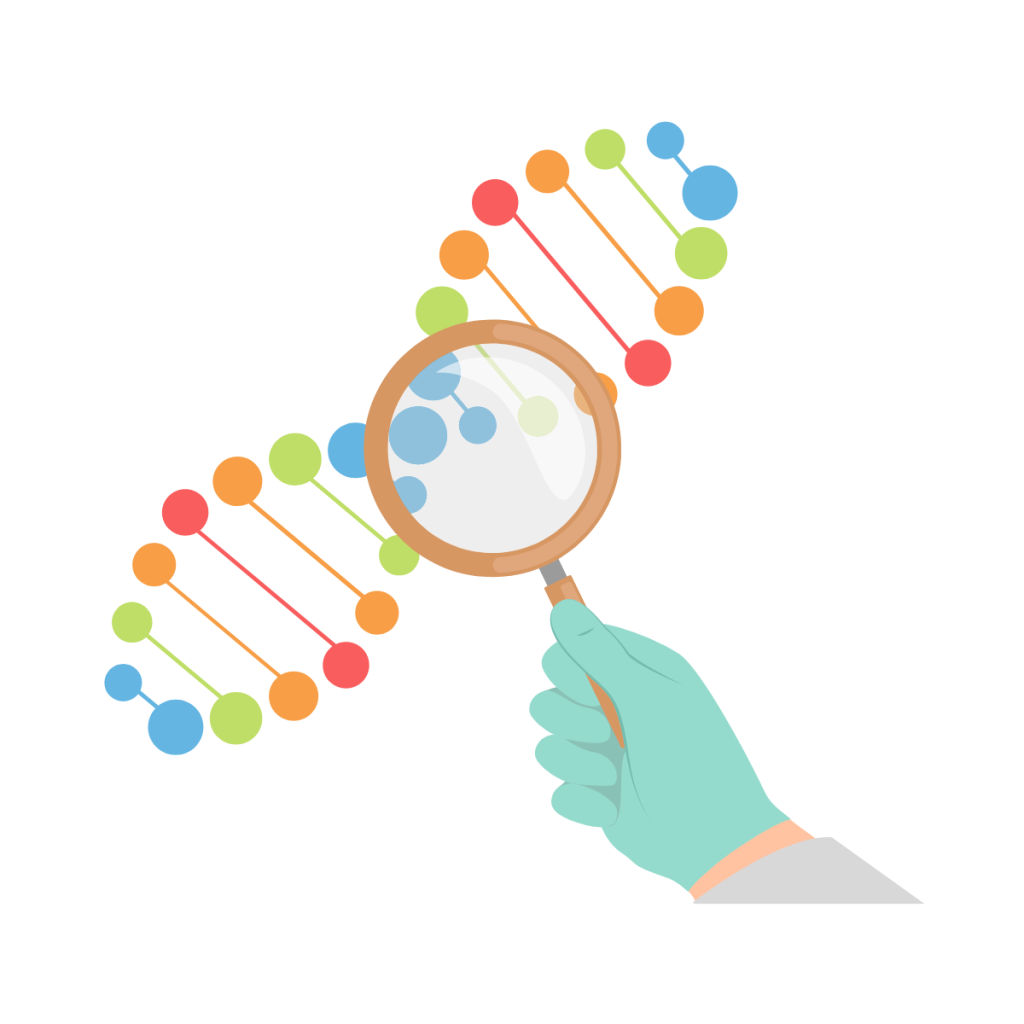 illustration of DNA under a magnifying glass - ISO 10993-33 - Biological Evaluation of Medical Devices - Guidance on tests to evaluate genotoxicity