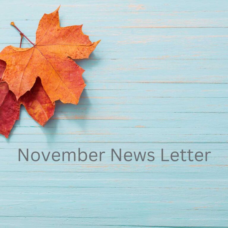 Patient Guards November 2024 News Letter